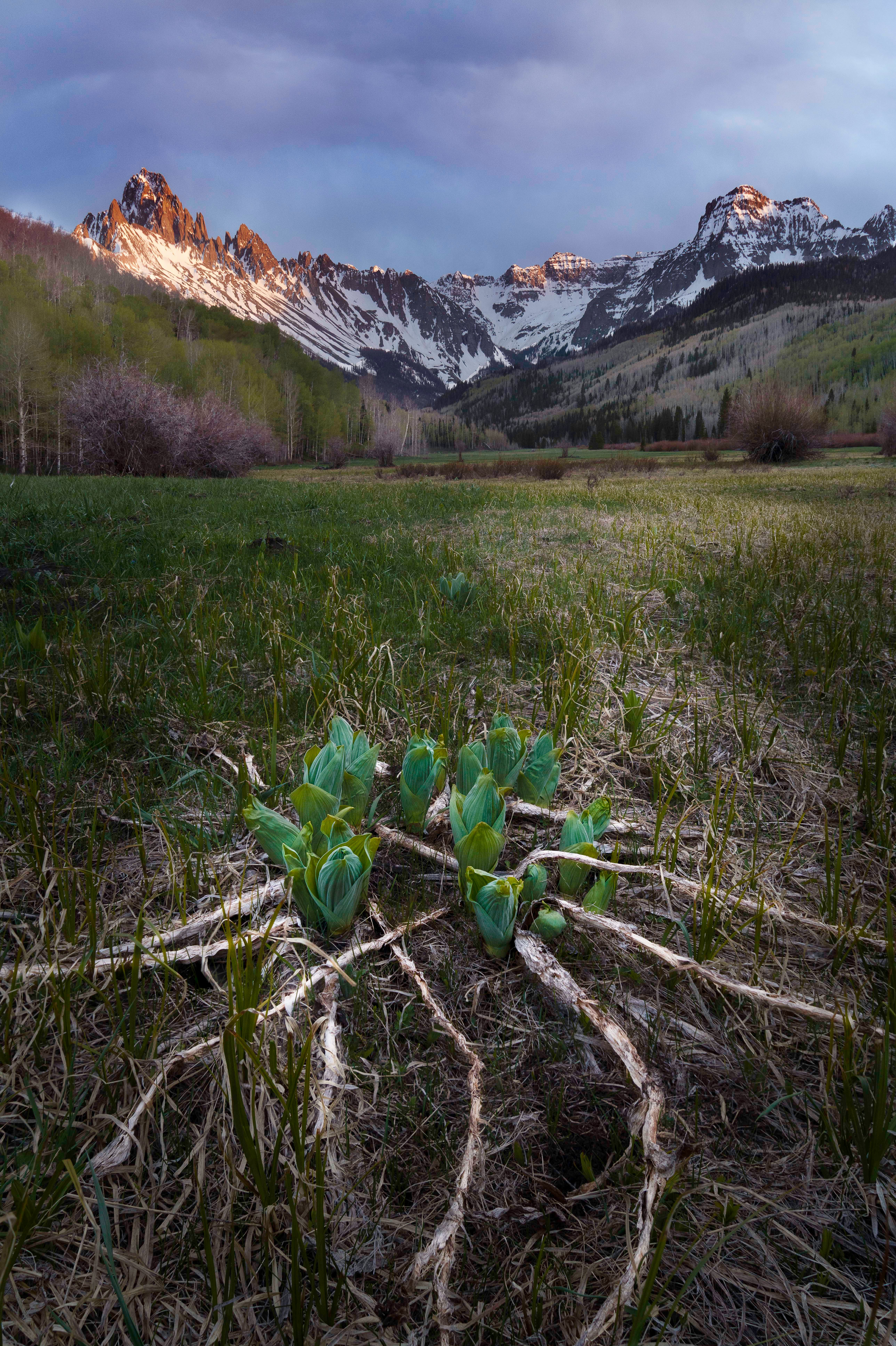 green grass field near mountain during daytime